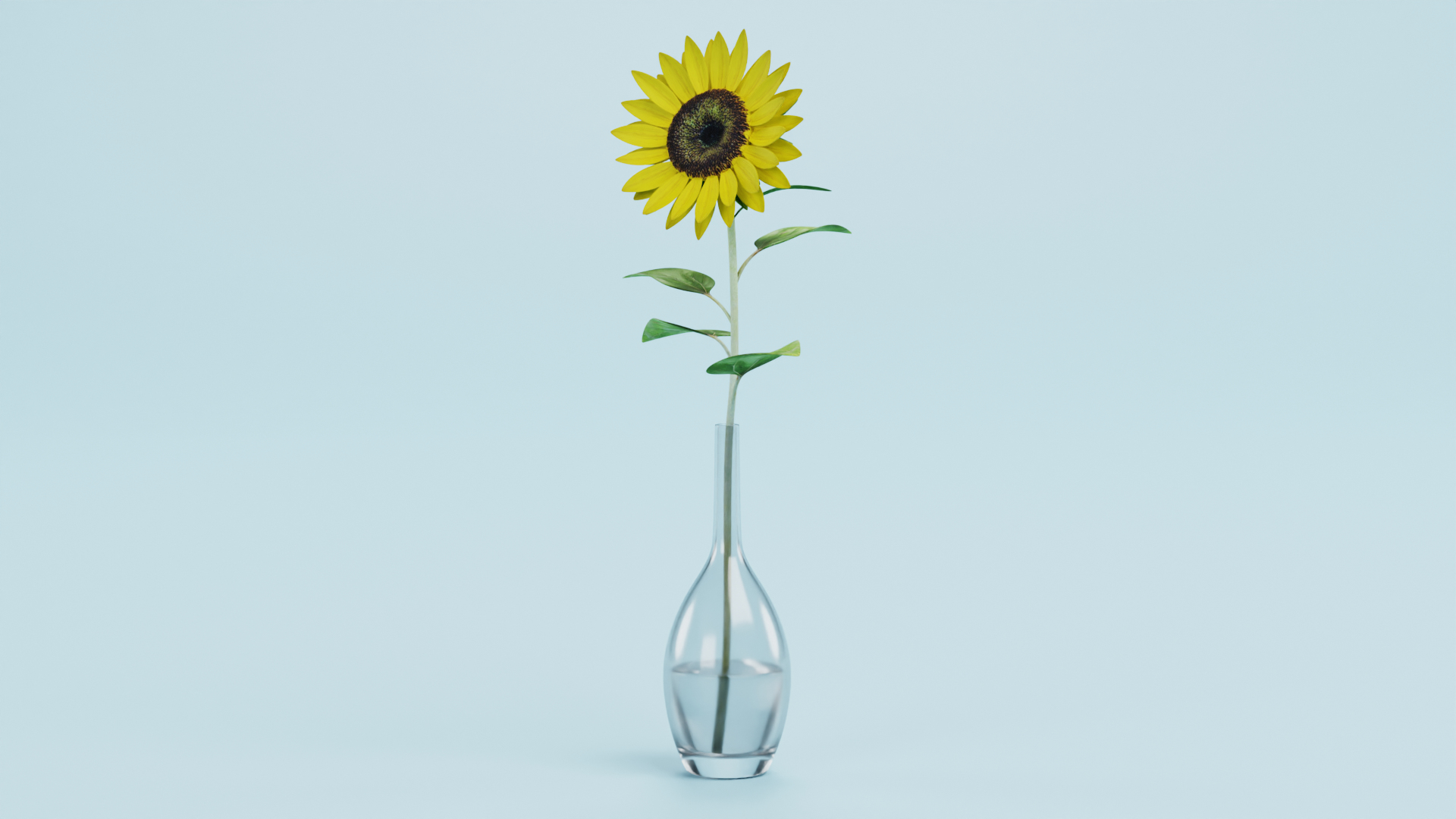3D Sunflower in Vase https://p.turbosquid.com/ts-thumb/BN/Jtbm8d/Uf/0001/png/1661519045/1920x1080/turn_fit_q99/131fede3bac1c404e1a471c13b3cda4559ead25c/0001-1.jpg