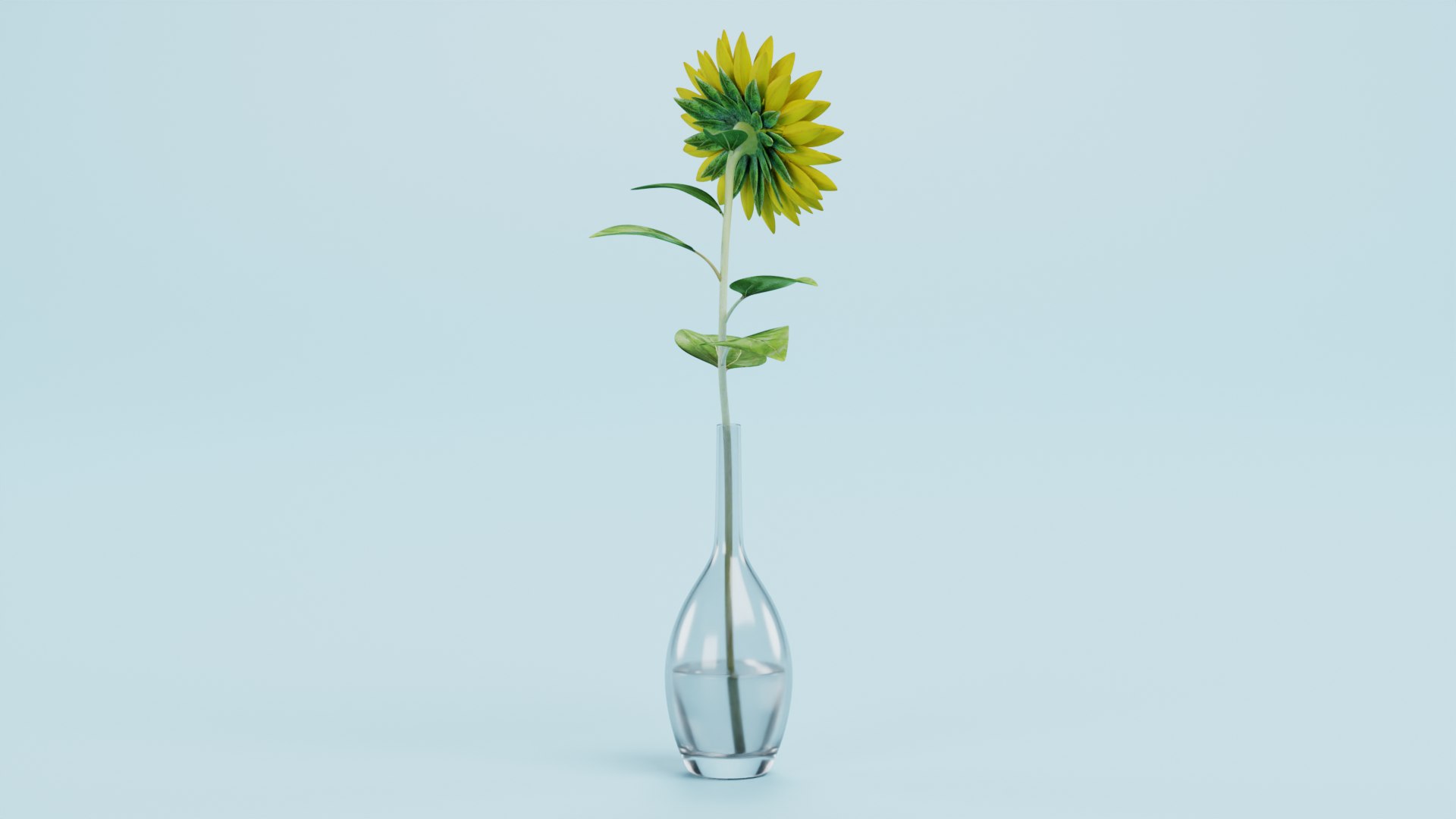 3D Sunflower in Vase https://p.turbosquid.com/ts-thumb/BN/Jtbm8d/aL/sunflowerd/png/1661518840/1920x1080/fit_q87/dcb0e224a8b6429b3cc89aba567816e6aa454429/sunflowerd.jpg