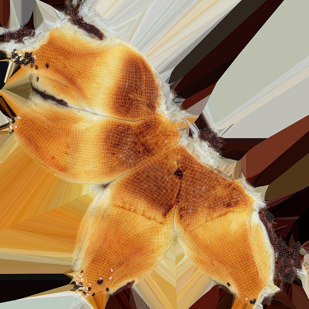 Red Bean Bun Cut 01 3D https://p.turbosquid.com/ts-thumb/BN/Pg6Xv4/8X/redbeanbuncut01_d0004/jpg/1700323905/1920x1080/fit_q87/b4350f2453cc1801e9b4a2b928be7c2ce3810bb2/redbeanbuncut01_d0004.jpg