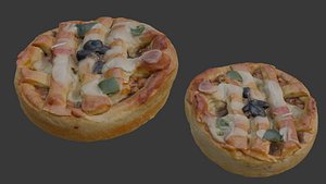 Savory Pie Scan