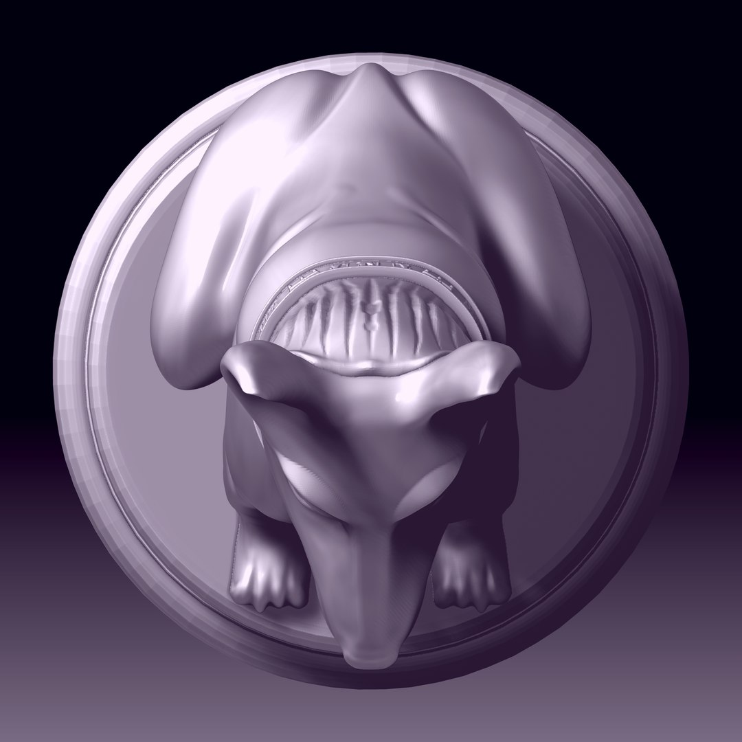 3D The dog is a chess piece model https://p.turbosquid.com/ts-thumb/BN/i4KsvR/FA/z008/jpg/1722330419/1920x1080/fit_q87/e7bd8f3b20523b0b901e71702a72e36244626394/z008.jpg