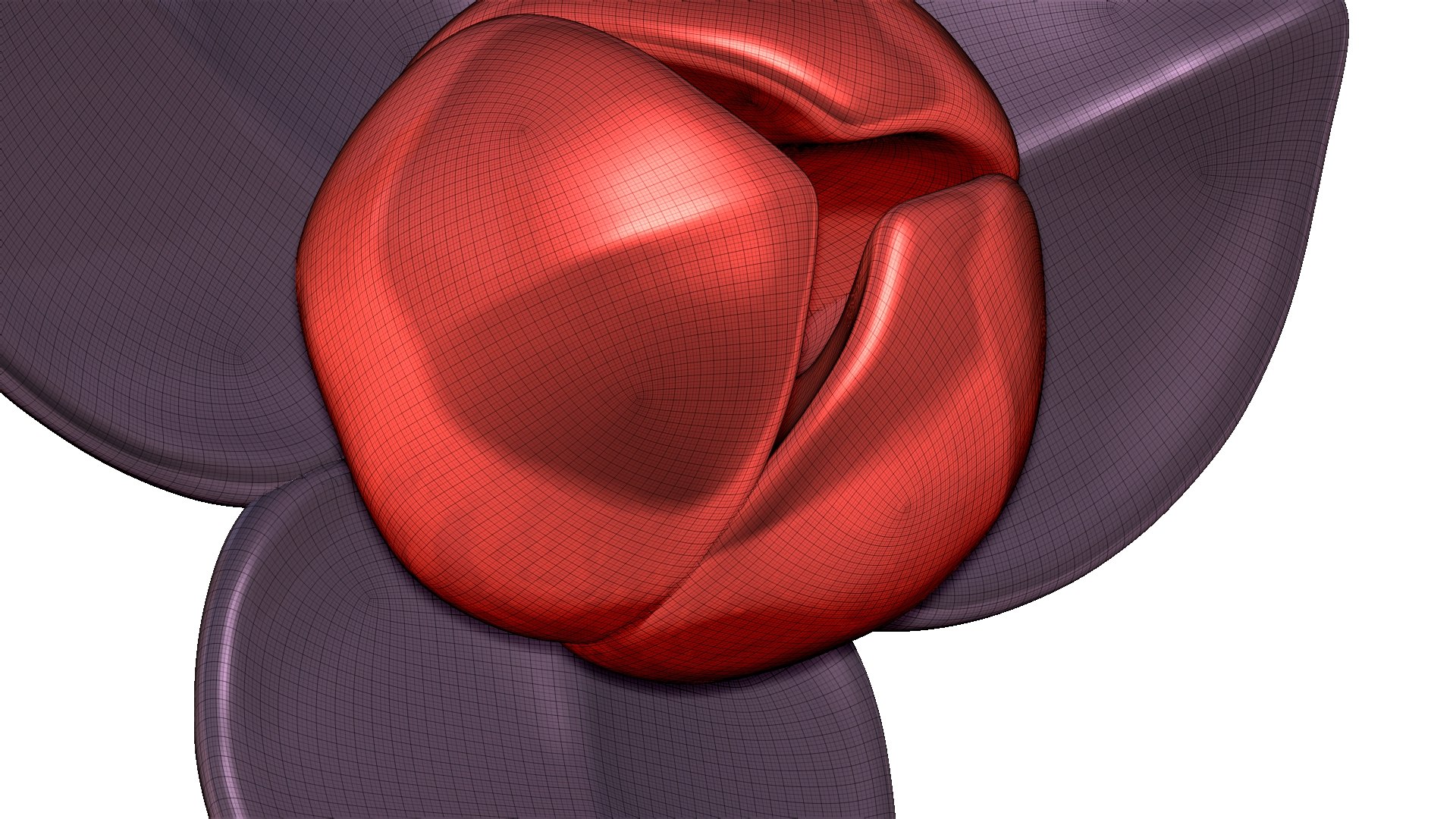 3D Romdul Flower - TurboSquid 2260307