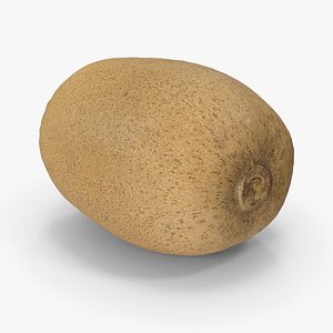 3D model Kiwi