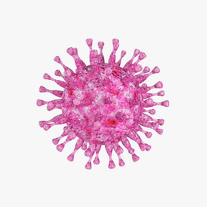 herpes virus model