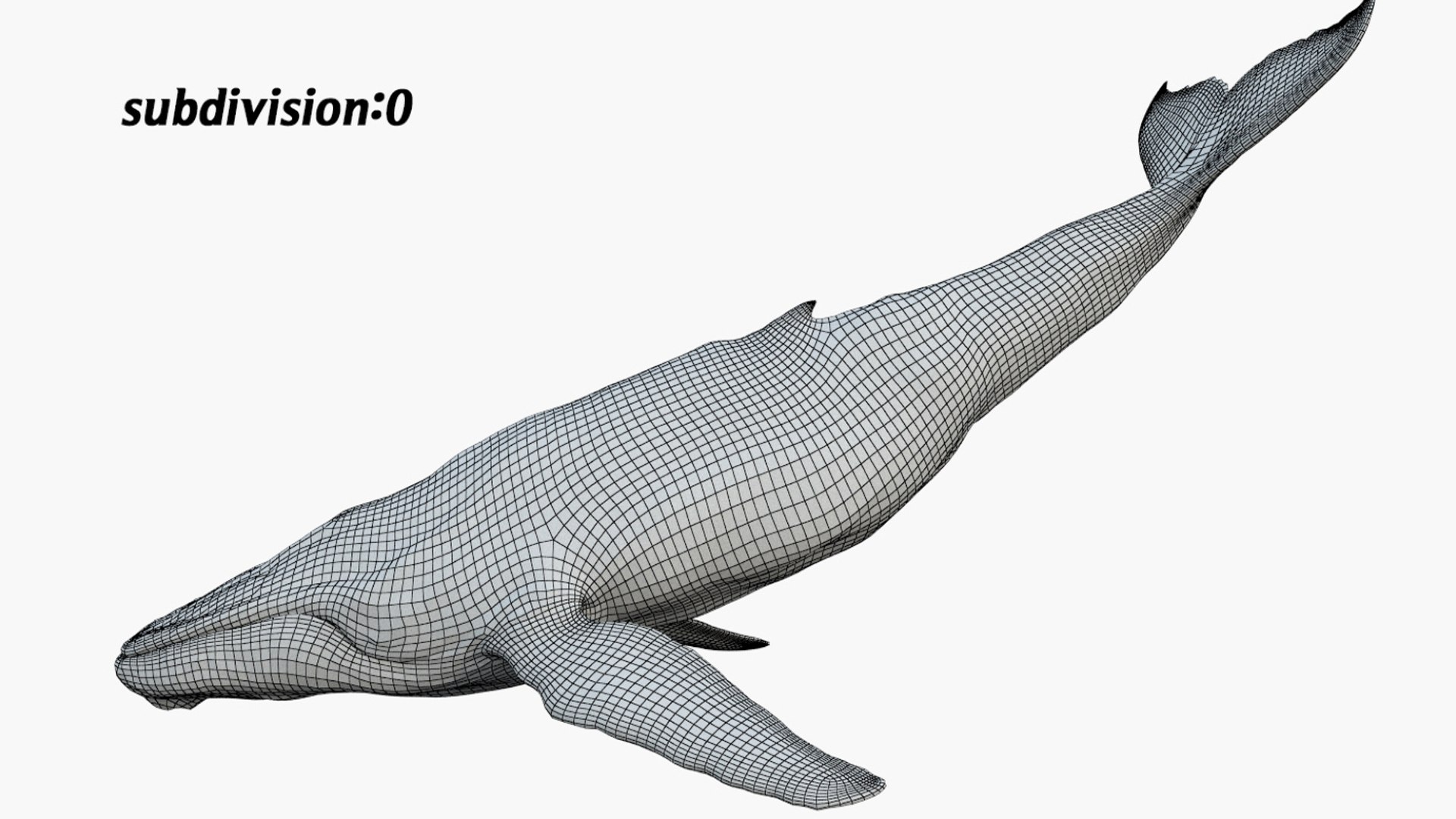 Animal Collection 3D 3D https://p.turbosquid.com/ts-thumb/BN/rJ9E1p/1a/whale_03/jpg/1761206232/1920x1080/fit_q87/149060aa22b2bf674edbfcb586c2f6123f1f6aff/whale_03.jpg
