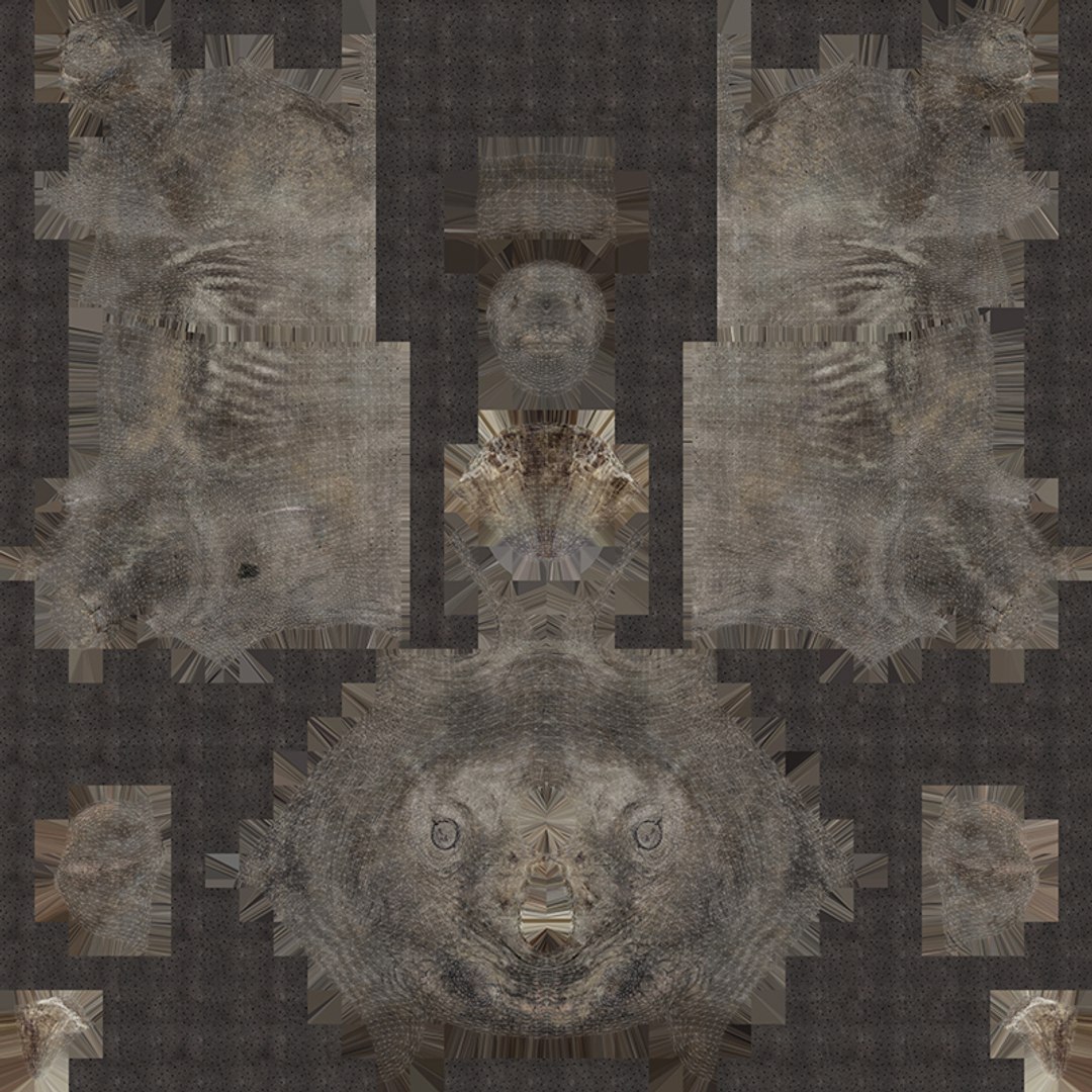 Animal Collection 3D 3D https://p.turbosquid.com/ts-thumb/BN/rJ9E1p/1r/rhino_04/jpg/1761205711/1920x1080/fit_q87/bc91b189afe4470974d57f587d272e114a096f40/rhino_04.jpg