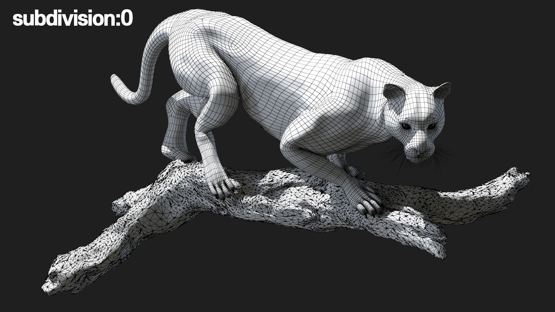 Animal Collection 3D 3D https://p.turbosquid.com/ts-thumb/BN/rJ9E1p/4V/leopard_03/jpg/1761205124/1920x1080/fit_q87/41021a4a220811900b75092f807e5ddca6aef2a0/leopard_03.jpg