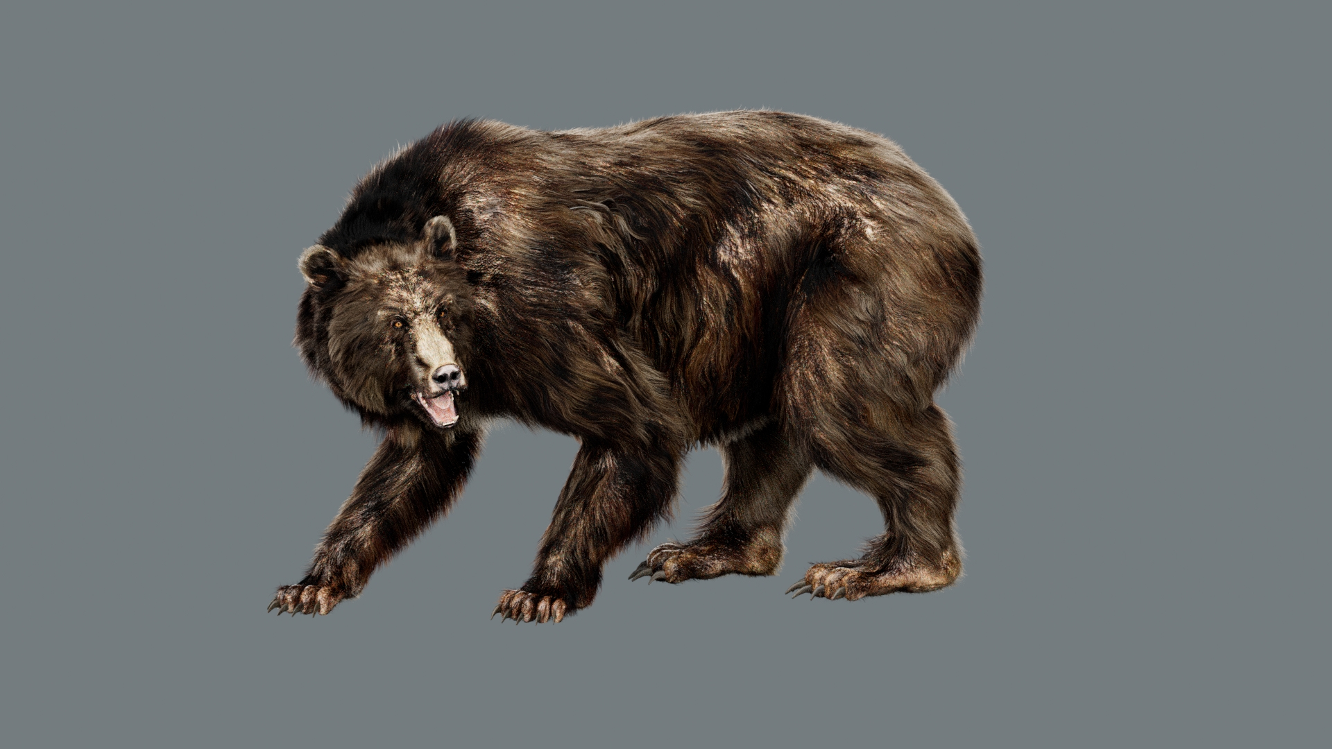 Animal Collection 3D 3D https://p.turbosquid.com/ts-thumb/BN/rJ9E1p/6l/bearfur/jpg/1761203636/1920x1080/turn_fit_q99/5989d397e10e036d02b768a3590e888a73d3e172/bearfur-1.jpg