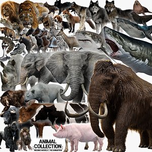 Animal Collection 3D