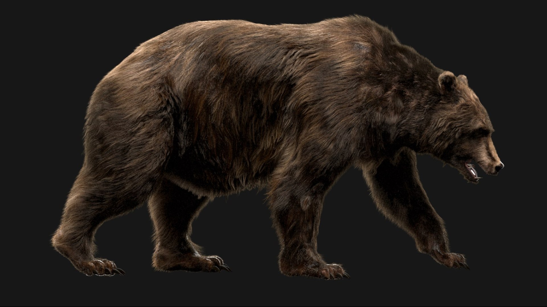 Animal Collection 3D 3D https://p.turbosquid.com/ts-thumb/BN/rJ9E1p/H5/bearfur_02/jpg/1761203633/1920x1080/fit_q87/a6771cdc25eade71e1441edb3d49671ec851a9aa/bearfur_02.jpg