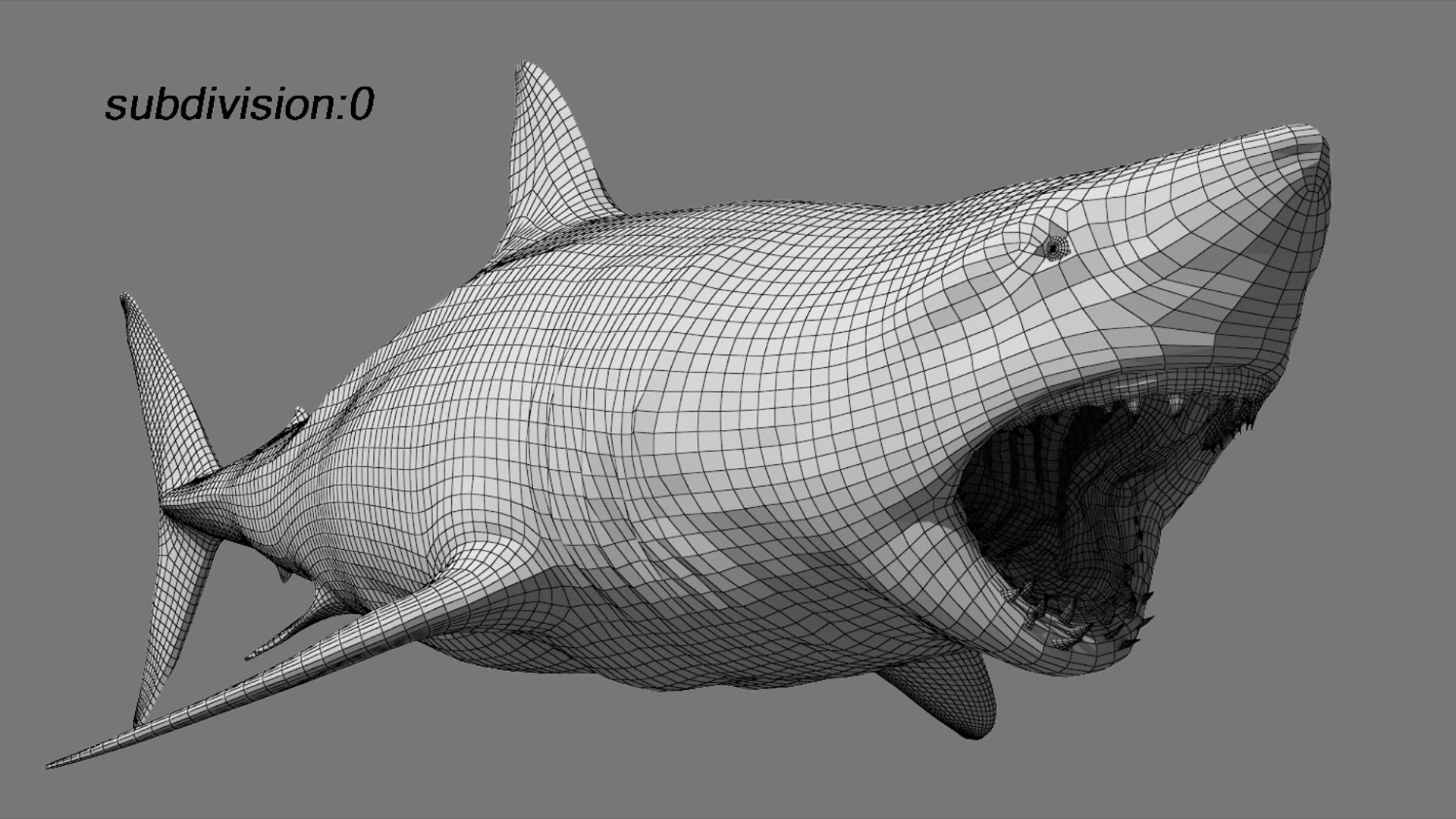 Animal Collection 3D 3D https://p.turbosquid.com/ts-thumb/BN/rJ9E1p/JQ/greatwhiteshark_03/jpg/1761204823/1920x1080/fit_q87/ece3de63a3c8a614cacd713e1d6702ca97300e0f/greatwhiteshark_03.jpg
