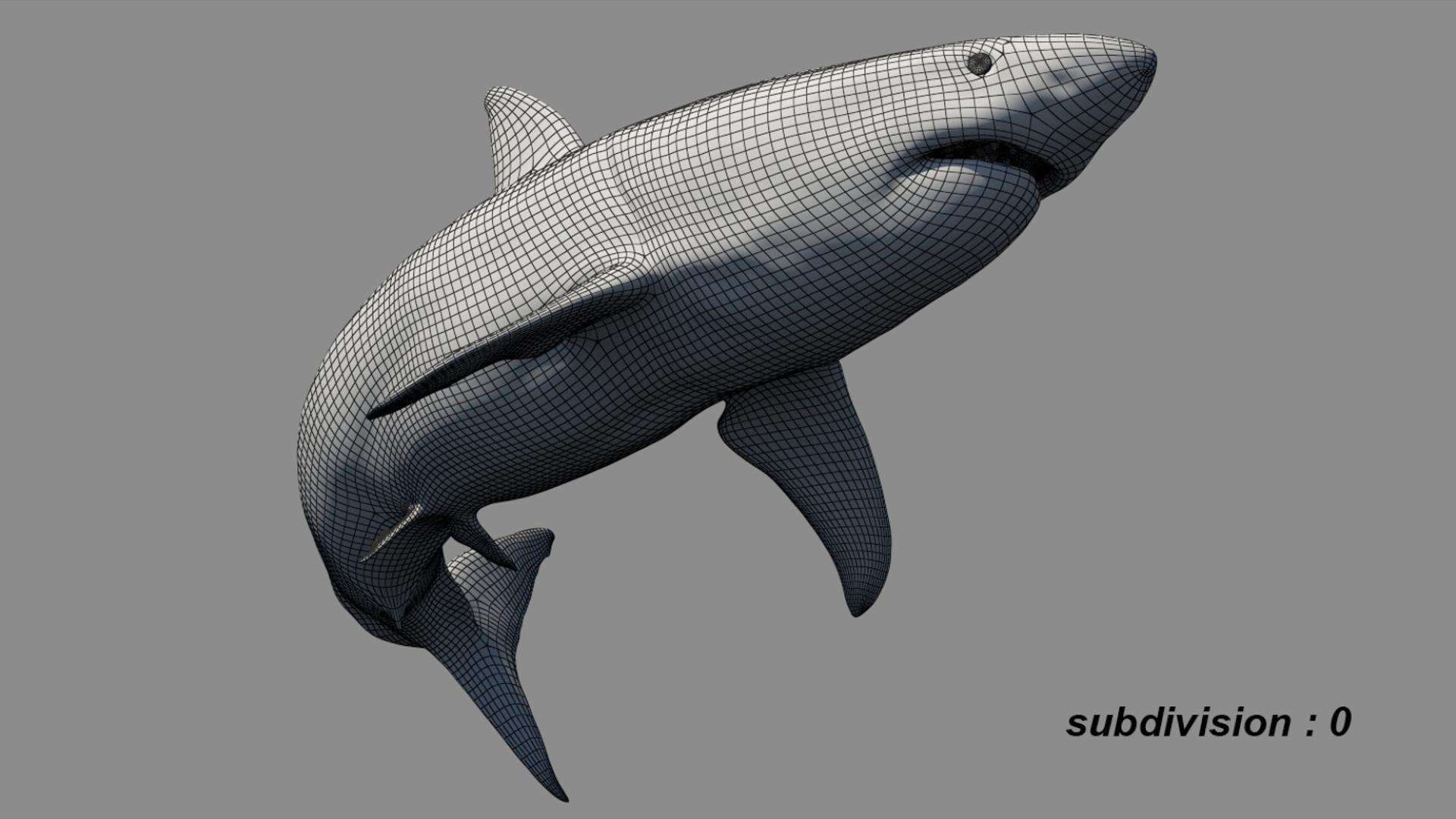 Animal Collection 3D 3D https://p.turbosquid.com/ts-thumb/BN/rJ9E1p/MJ/shark_03/jpg/1761205820/1920x1080/fit_q87/eadcd3682b5b40b985826b5ad285bb5285e5fb89/shark_03.jpg