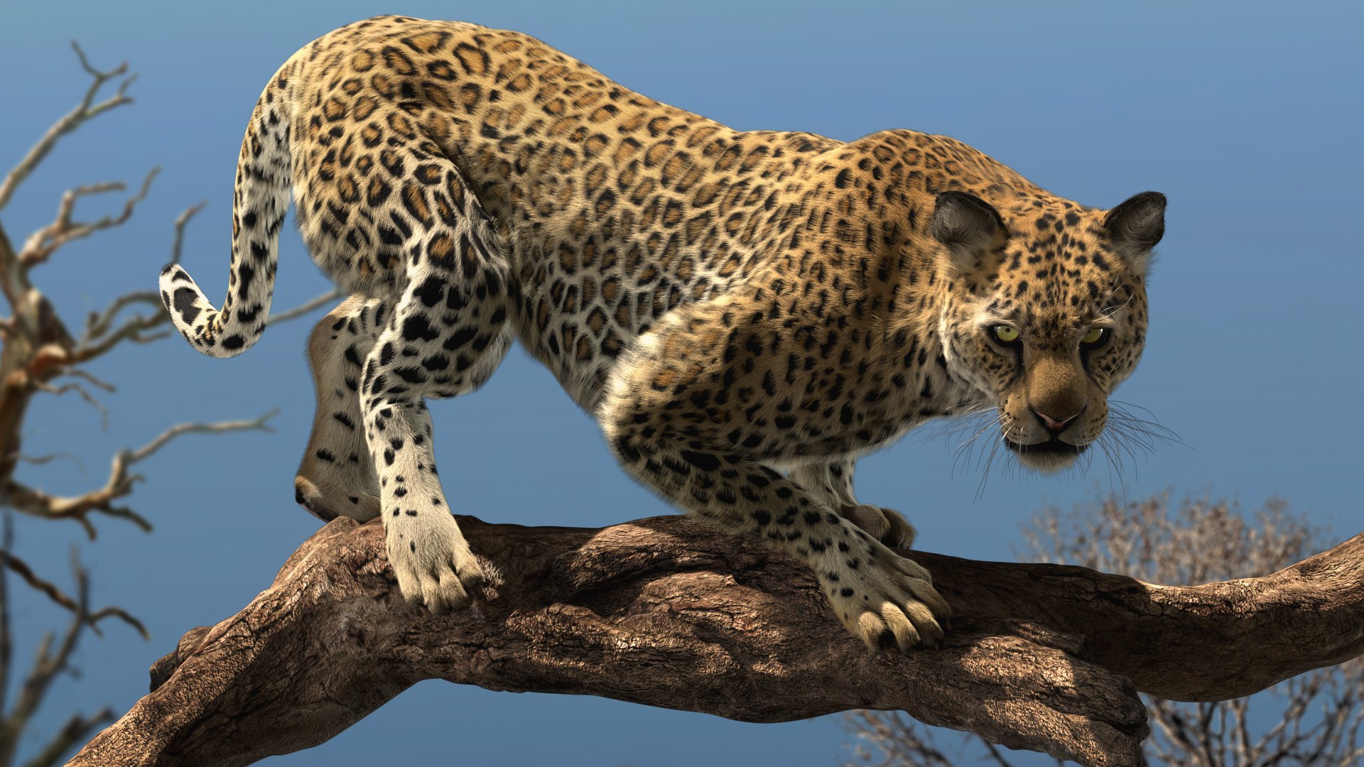Animal Collection 3D 3D https://p.turbosquid.com/ts-thumb/BN/rJ9E1p/O2/leopard_02/jpg/1761205122/1920x1080/fit_q87/1f31343a7a845b4cac4e5b225fa05d9b1ea5e164/leopard_02.jpg