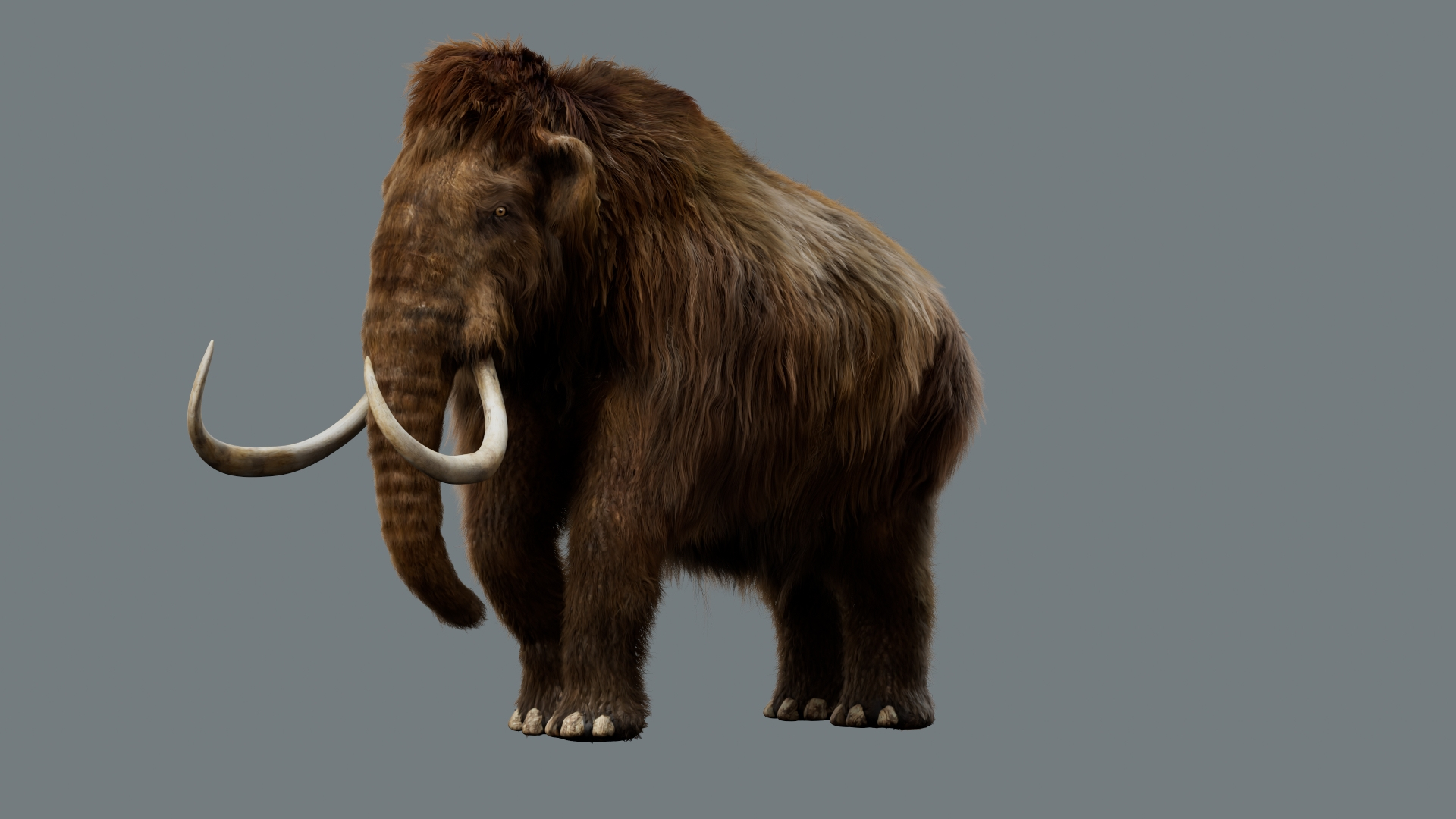 Animal Collection 3D 3D https://p.turbosquid.com/ts-thumb/BN/rJ9E1p/i1/mammoth/jpg/1761205319/1920x1080/turn_fit_q99/351b28ea3a0280b7851b067b1760765da6056d0d/mammoth-1.jpg