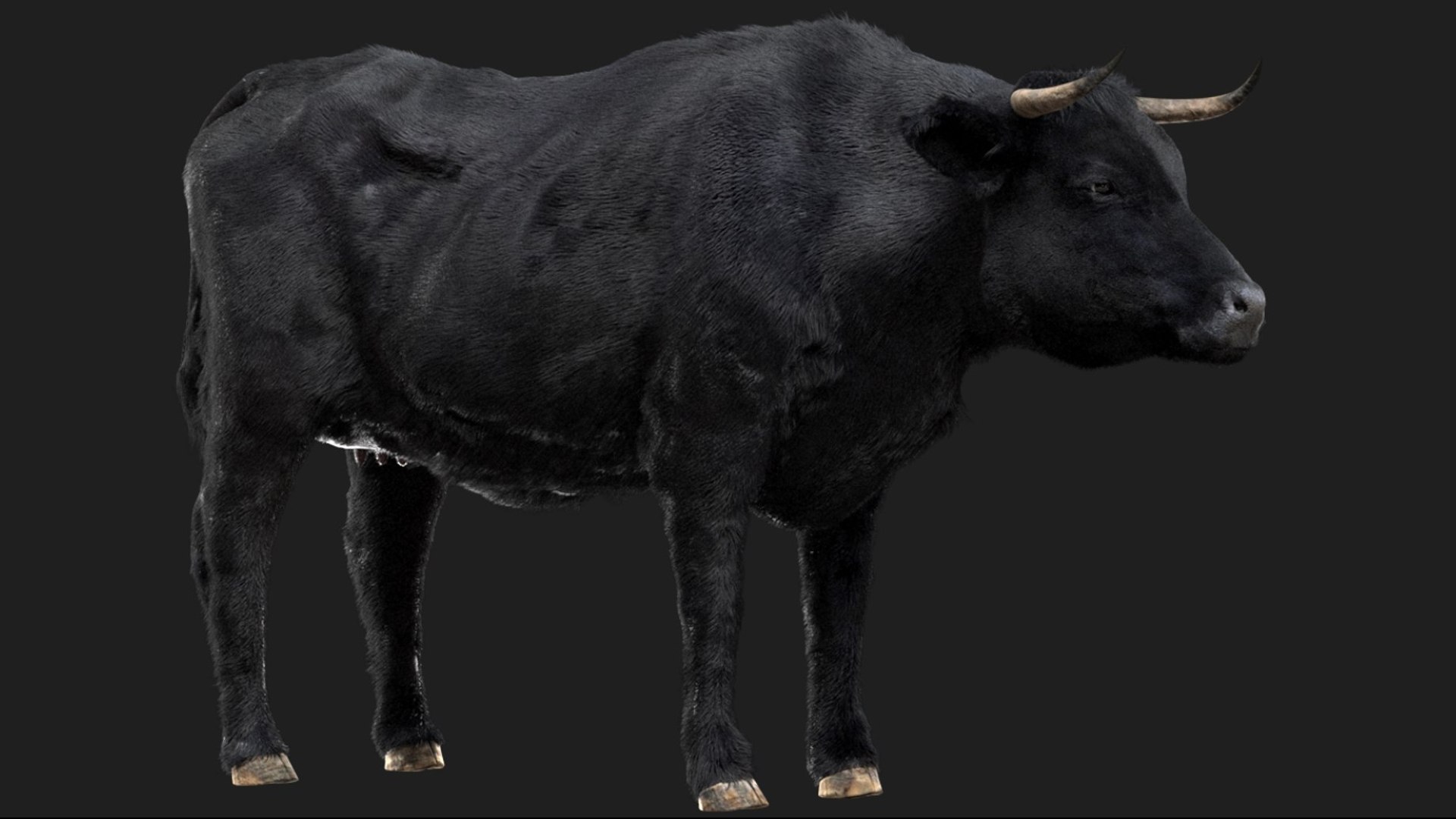 Animal Collection 3D 3D https://p.turbosquid.com/ts-thumb/BN/rJ9E1p/l8/bullcow_02/jpg/1761203997/1920x1080/fit_q87/73c13f3b009c08f11091b9658f18e256018b7592/bullcow_02.jpg