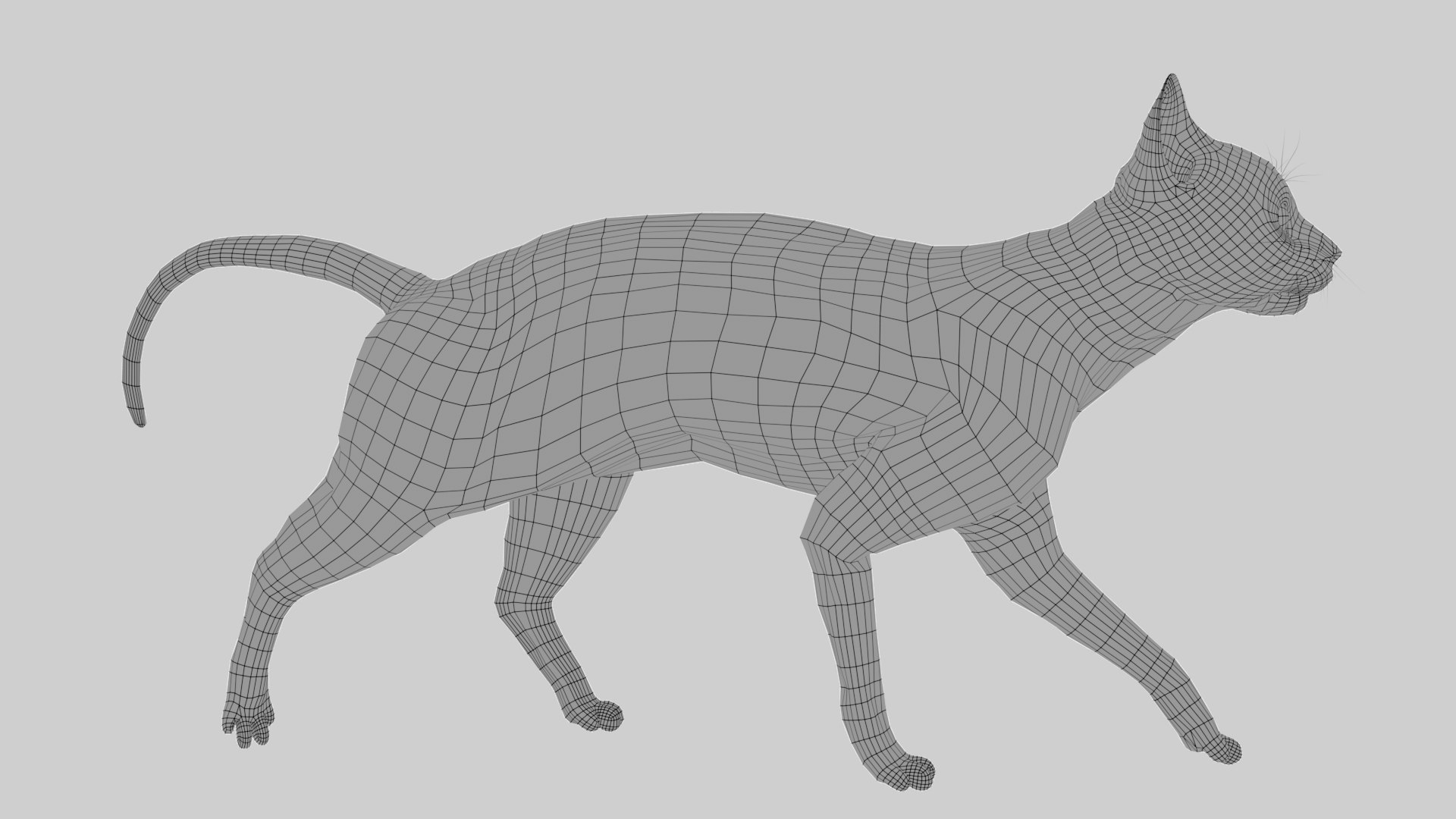 Animal Collection 3D 3D https://p.turbosquid.com/ts-thumb/BN/rJ9E1p/sP/cat_02/png/1761204114/1920x1080/fit_q87/484566dc4db3bbc5377c222406793e5df0f2d13b/cat_02.jpg