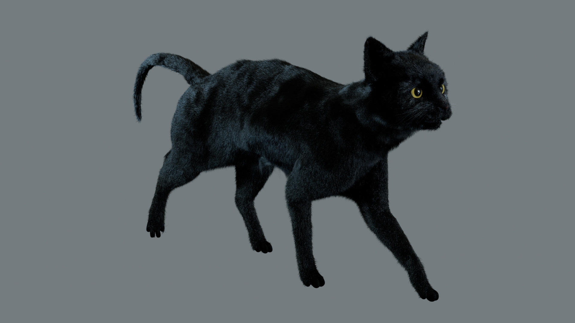 Animal Collection 3D 3D https://p.turbosquid.com/ts-thumb/BN/rJ9E1p/ur/blackcat/jpg/1761203679/1920x1080/turn_fit_q99/6a5ab0e7781d0fc7b4a5a86aa8635e2a340dd60b/blackcat-1.jpg