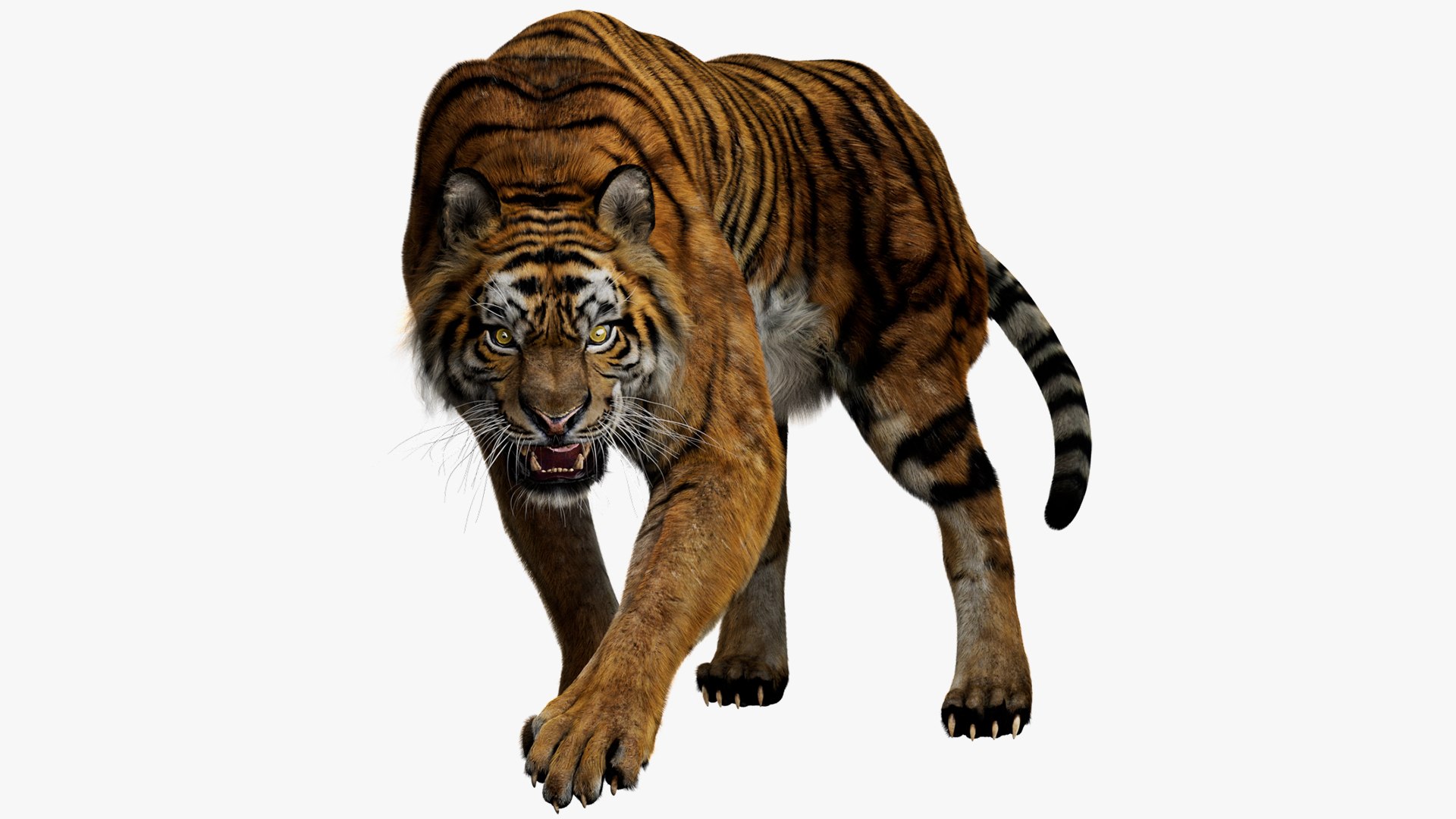 Animal Collection 3D 3D https://p.turbosquid.com/ts-thumb/BN/rJ9E1p/w4/tiger_01/jpg/1761206091/1920x1080/fit_q87/1feeffe81c8b42bd3b82b1637567524a403d7834/tiger_01.jpg