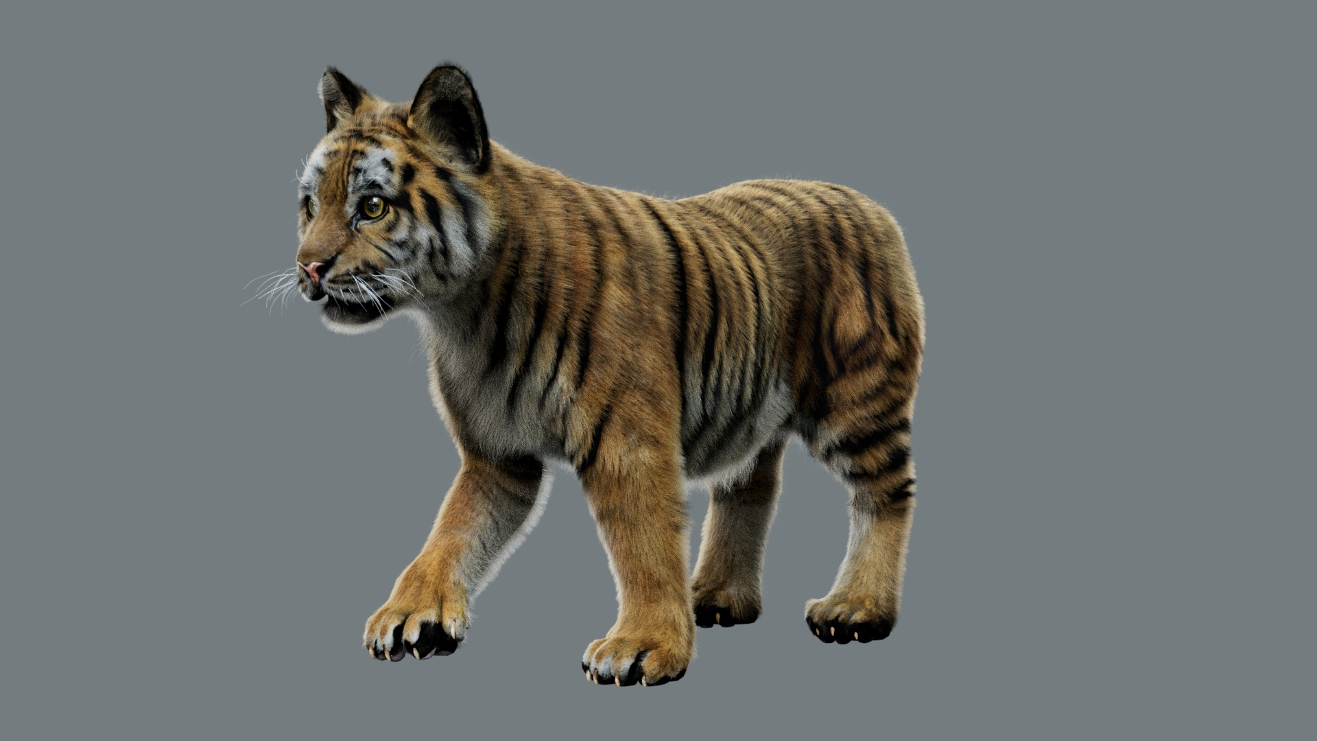 Animal Collection 3D 3D https://p.turbosquid.com/ts-thumb/BN/rJ9E1p/xD/tigerbaby/jpg/1761206161/1920x1080/turn_fit_q99/9cb81b5705dd19d5c715813d0519aadbd61138a5/tigerbaby-1.jpg