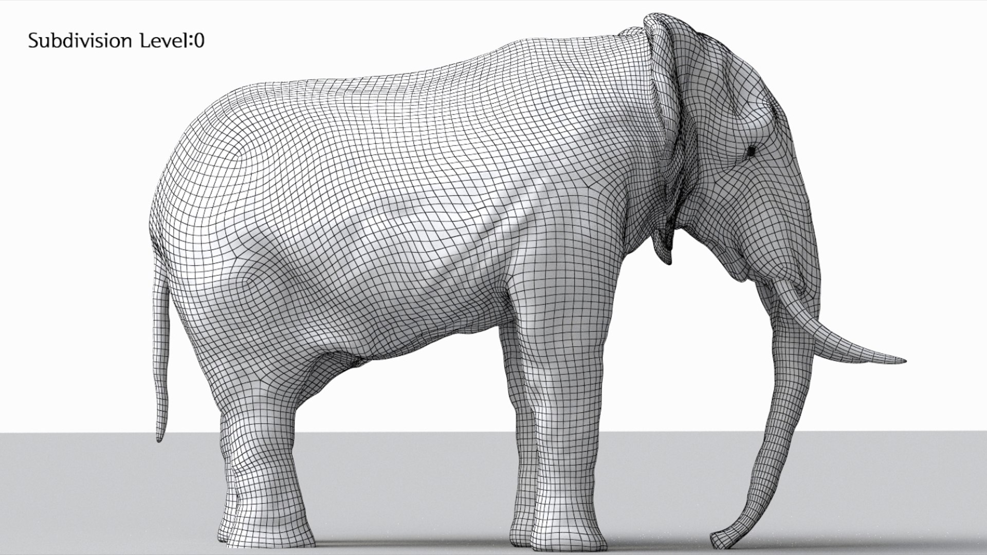 Animal Collection 3D 3D https://p.turbosquid.com/ts-thumb/BN/rJ9E1p/xv/africaelephant_03/jpg/1761203194/1920x1080/fit_q87/65a0e23681fee25eb45abcb61f39d14eecd204ba/africaelephant_03.jpg