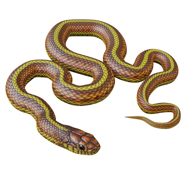 Yellow snake animation 3D model - TurboSquid 1483896