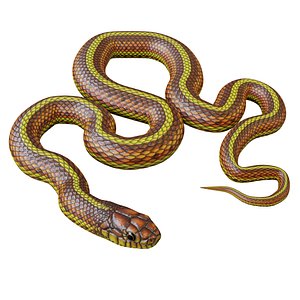 Animated Yellow Snake