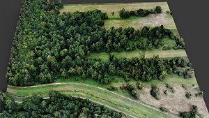 trees terrain forest fields landscape dronescan part2 3D model