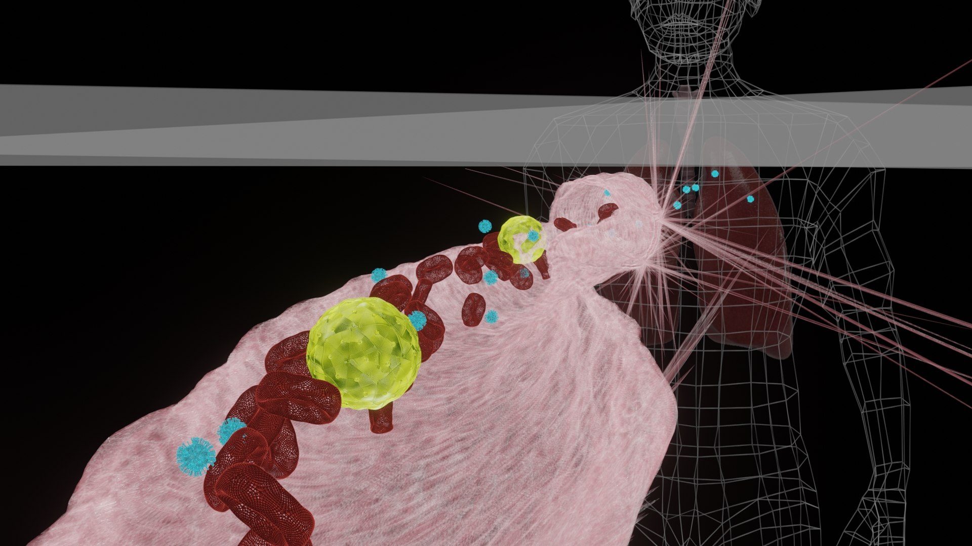 blood vessel corona virus 3D https://p.turbosquid.com/ts-thumb/BN/uzPSpb/4La7YQ4A/lunginfectionbycoronawireframe0200/jpg/1595166648/1920x1080/fit_q87/c9f53e94b70a4cab02b70d7d1e1126c19cb03a08/lunginfectionbycoronawireframe0200.jpg