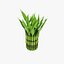 Decorative bamboo