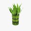 Decorative bamboo