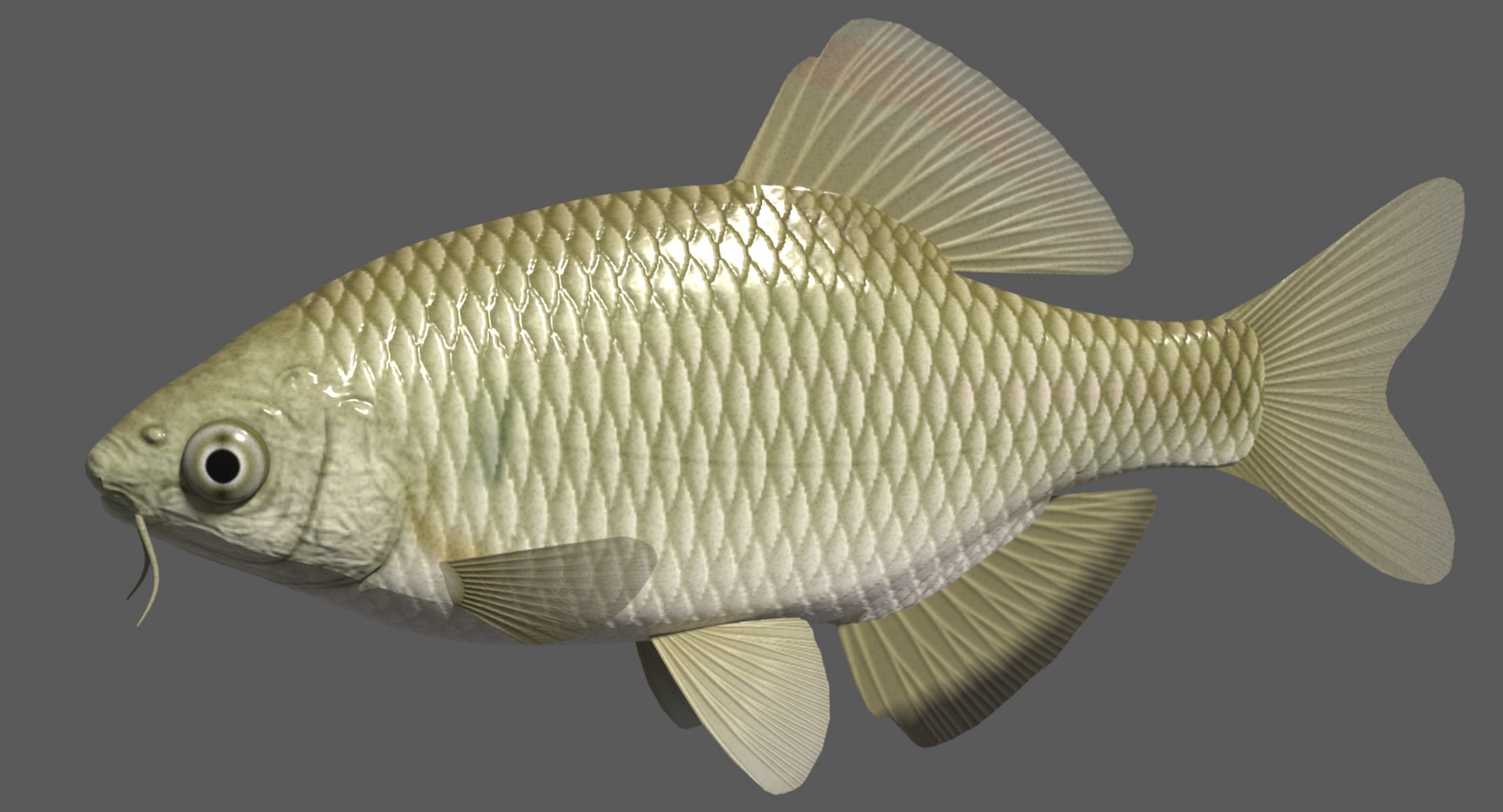 Swimming 3d 3ds