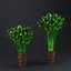 Indoor Plant  Flower in a Pot 3D Model