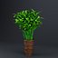 Indoor Plant  Flower in a Pot 3D Model