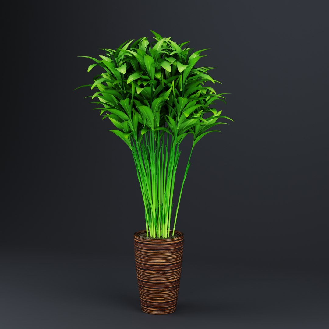 Indoor Plant  Flower in a Pot 3D Model model https://p.turbosquid.com/ts-thumb/BO/9YMWD8/UQ/5/jpg/1694444500/1920x1080/fit_q87/8c42f597bb96323318bc23048e906d0a9a278865/5.jpg