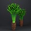 Indoor Plant  Flower in a Pot 3D Model