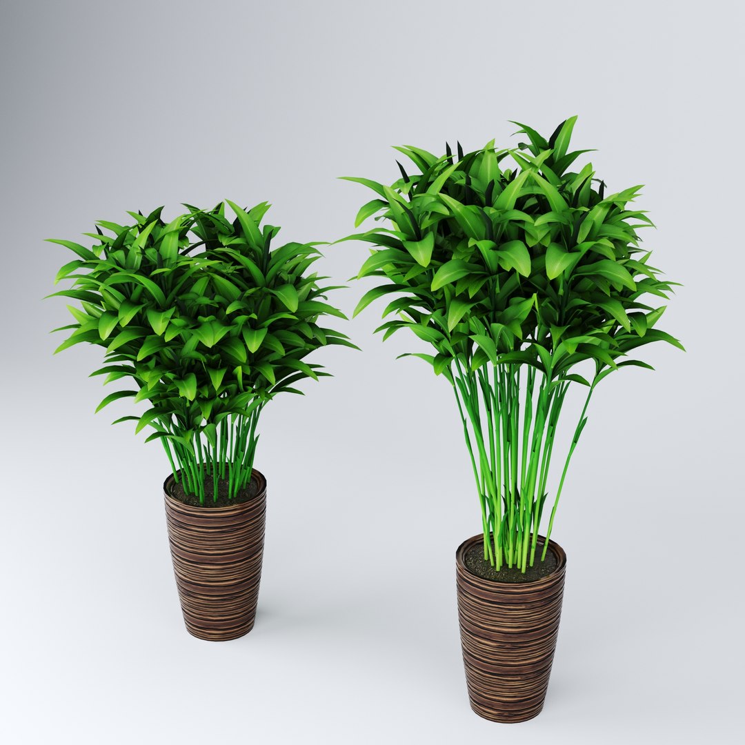 Indoor Plant  Flower in a Pot 3D Model model https://p.turbosquid.com/ts-thumb/BO/9YMWD8/bT/9/jpg/1694444530/1920x1080/fit_q87/944e8f6123a776408d5c961ee00cd296aca817ac/9.jpg