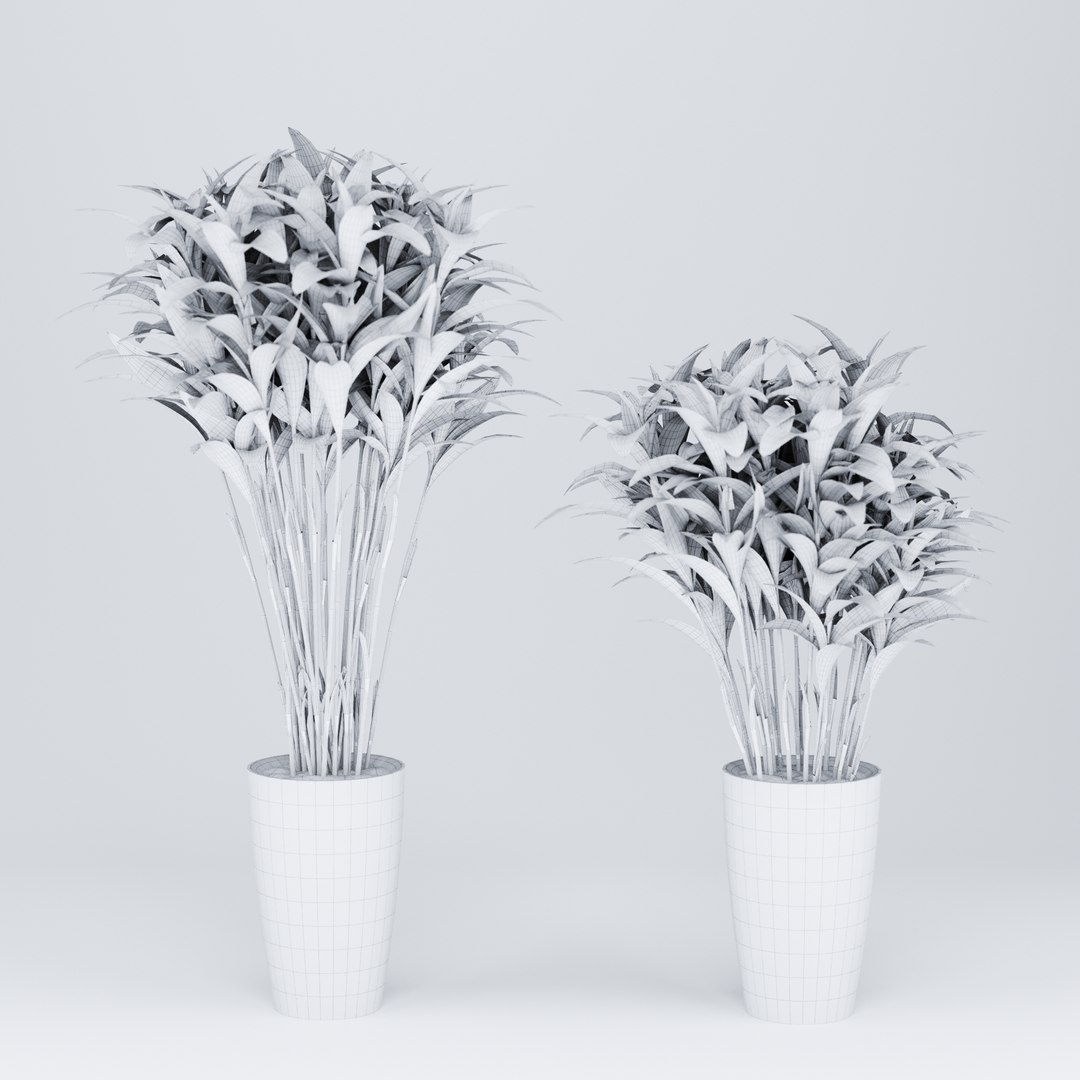 Indoor Plant  Flower in a Pot 3D Model model https://p.turbosquid.com/ts-thumb/BO/9YMWD8/p7/10/jpg/1694444508/1920x1080/fit_q87/30fa7277d8612084b7e67439eeedf312a0809b36/10.jpg