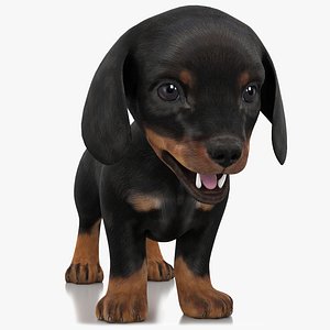 My Pet Puppy 3D - Nintendo 3DS