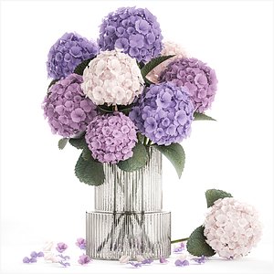 3D model Beautiful bouquets of hydrangea flowers in a glass vase 374