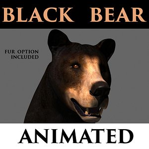 black bear animation 3D model