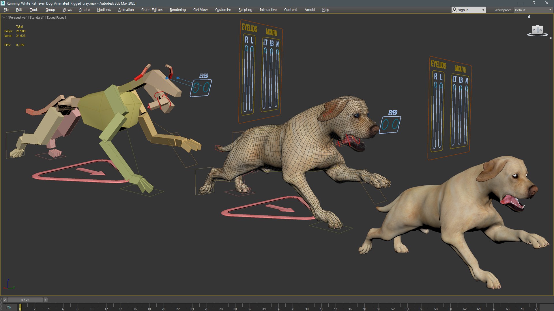Running White Retriever Dog Animated Rigged 3D Model - TurboSquid 2436916