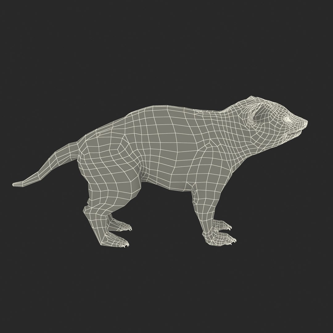 tasmanian devil fur max https://p.turbosquid.com/ts-thumb/BO/iy0Jkx/0LZeoKsd/tasmaniandevilfur_25/jpg/1384549828/1920x1080/fit_q87/a3465a59890f447caf4d874039dcfd5230cc0e77/tasmaniandevilfur_25.jpg