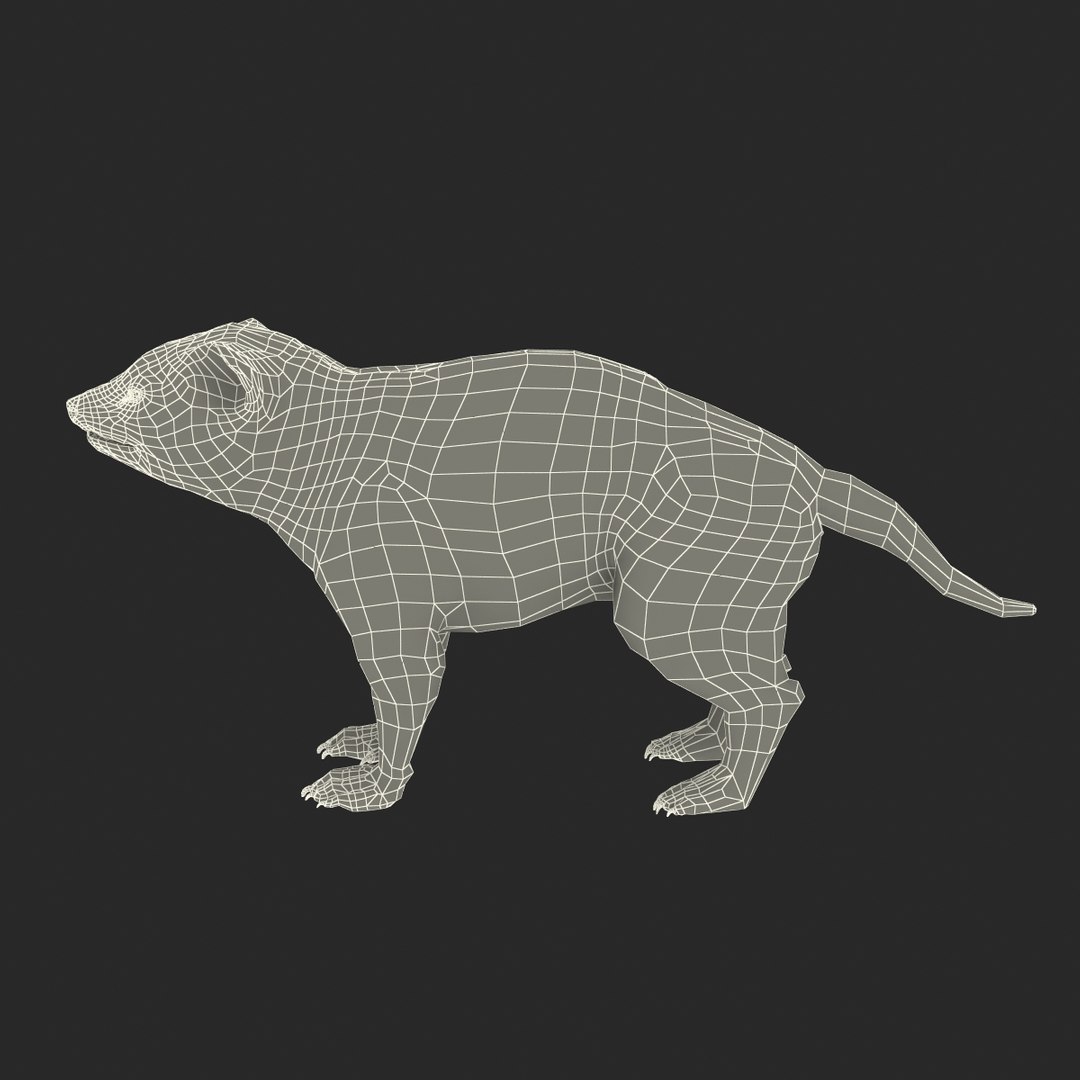 tasmanian devil fur max https://p.turbosquid.com/ts-thumb/BO/iy0Jkx/2iKEAgUw/tasmaniandevilfur_22/jpg/1384549826/1920x1080/fit_q87/5a25119f3af8fb6ec9c0dabe080f914969cab598/tasmaniandevilfur_22.jpg