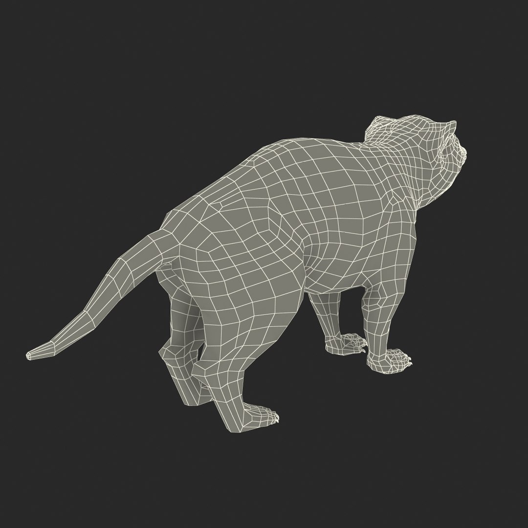 tasmanian devil fur max https://p.turbosquid.com/ts-thumb/BO/iy0Jkx/4BneVTlm/tasmaniandevilfur_26/jpg/1384549841/1920x1080/fit_q87/0022e6933110c3b1c27622de925e520e99e00375/tasmaniandevilfur_26.jpg