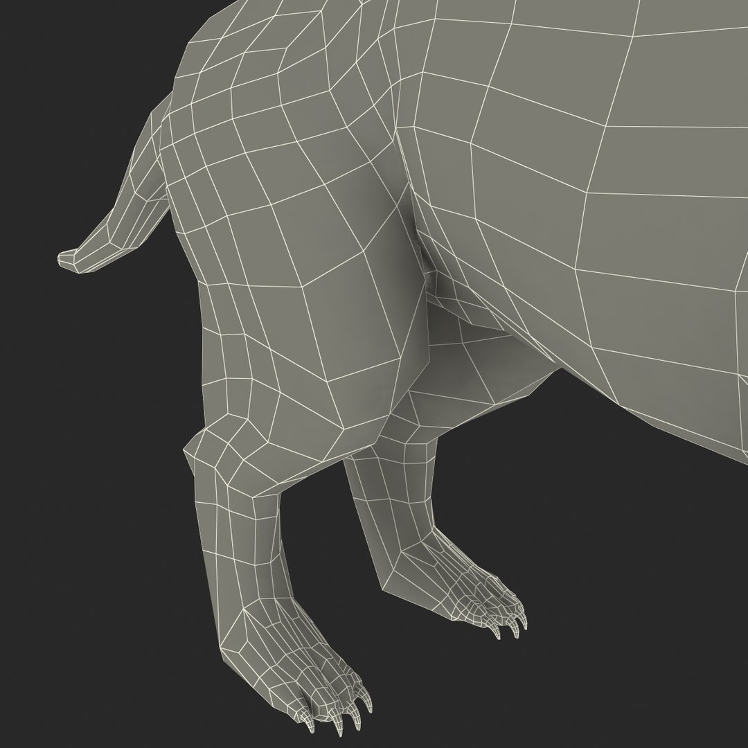 tasmanian devil fur max https://p.turbosquid.com/ts-thumb/BO/iy0Jkx/AhZA1BZD/tasmaniandevilfur_31/jpg/1384549849/1920x1080/fit_q87/eebe36926e7ab63eb9843b0b7fdd963e82427f88/tasmaniandevilfur_31.jpg