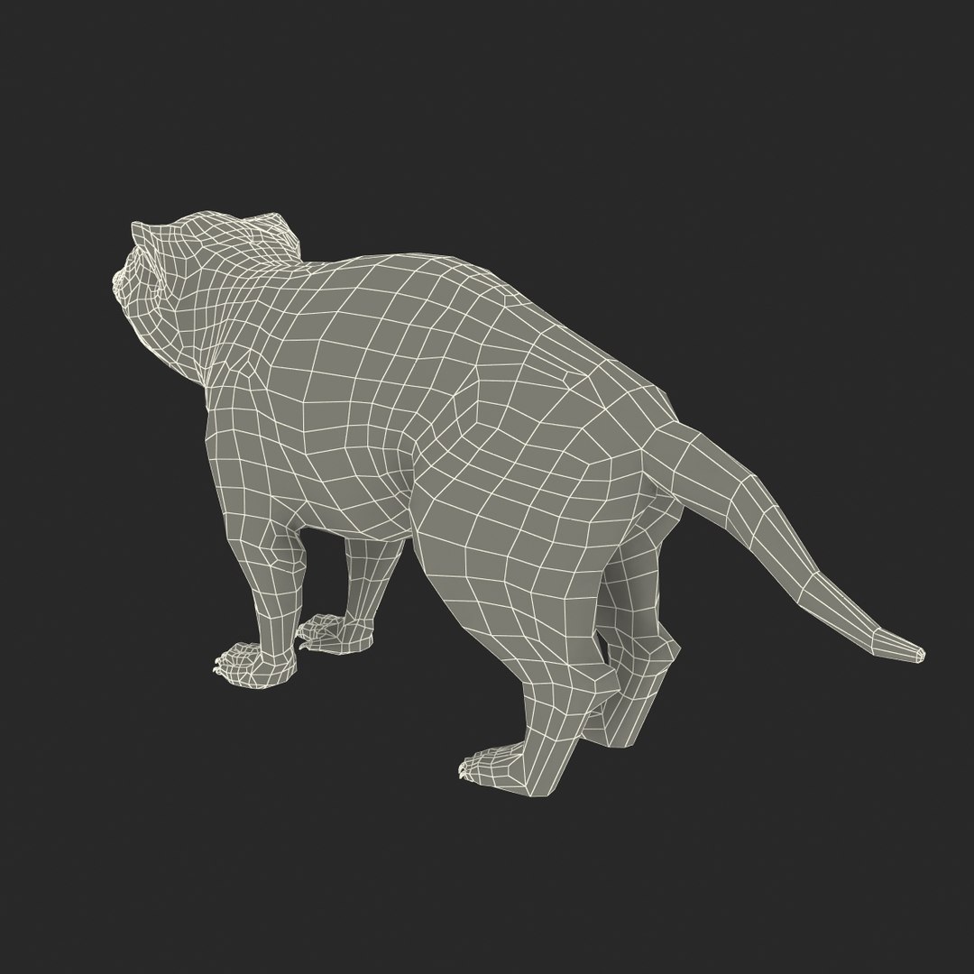 tasmanian devil fur max https://p.turbosquid.com/ts-thumb/BO/iy0Jkx/D6Npb0ok/tasmaniandevilfur_27/jpg/1384549835/1920x1080/fit_q87/e1b6934d2789ea14d68347557b65811647313e7a/tasmaniandevilfur_27.jpg