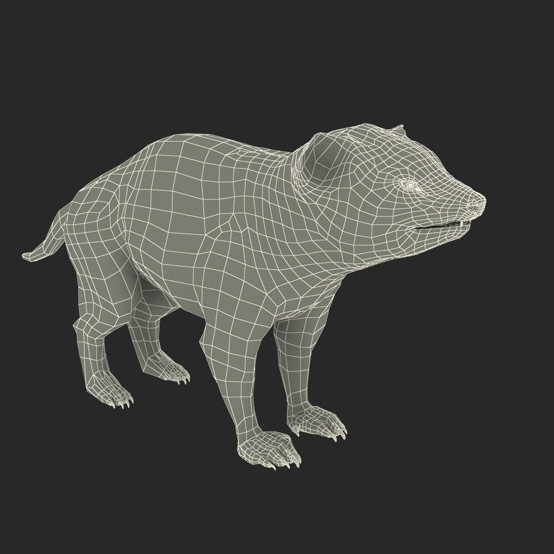 tasmanian devil fur max https://p.turbosquid.com/ts-thumb/BO/iy0Jkx/DcrW5oUK/tasmaniandevilfur_24/jpg/1384549833/1920x1080/fit_q87/1ffef9c09c07559e7847e2e455d9eabd4e04955f/tasmaniandevilfur_24.jpg
