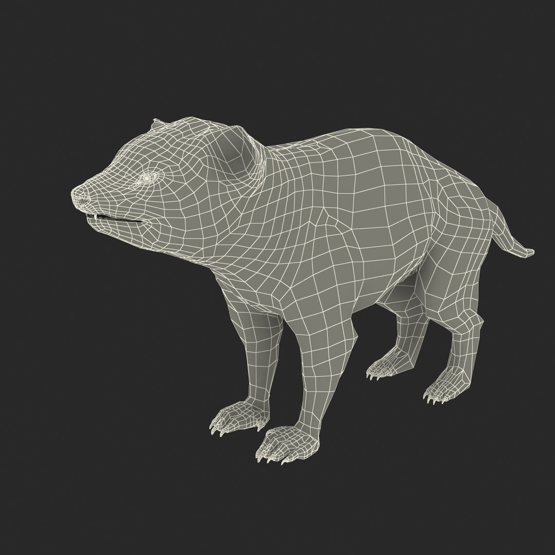tasmanian devil fur max https://p.turbosquid.com/ts-thumb/BO/iy0Jkx/G08Wbgpo/tasmaniandevilfur_23/jpg/1384549820/1920x1080/fit_q87/5c4628bc0135a81d28d73103a3b11223885fe514/tasmaniandevilfur_23.jpg