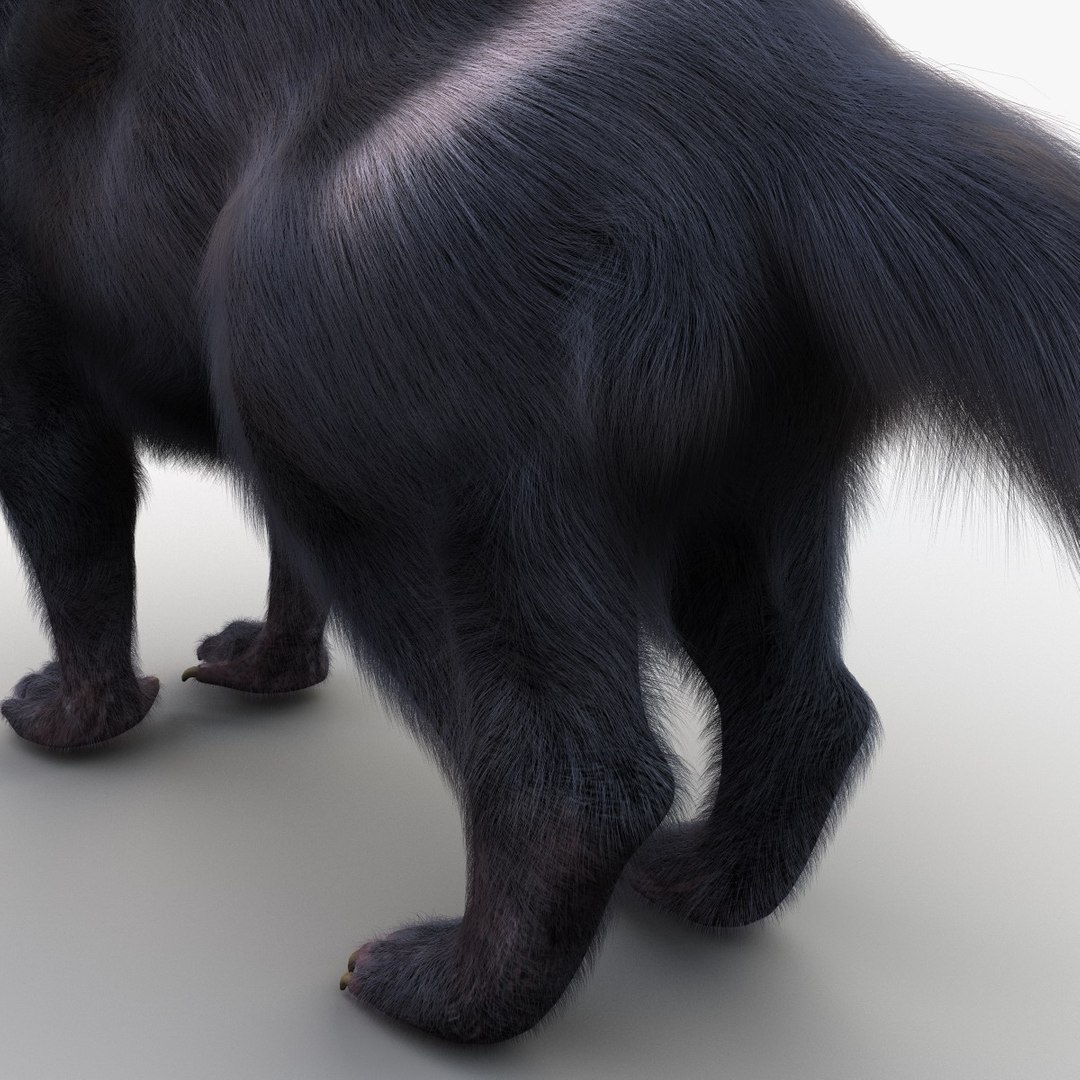 tasmanian devil fur max https://p.turbosquid.com/ts-thumb/BO/iy0Jkx/GURpQHjU/tasmaniandevilfur_19/jpg/1384549806/1920x1080/fit_q87/54df8e9502134eac41c73f5cfab9cf5726fa95c2/tasmaniandevilfur_19.jpg