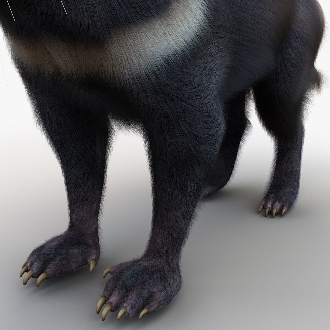tasmanian devil fur max https://p.turbosquid.com/ts-thumb/BO/iy0Jkx/Madxdyza/tasmaniandevilfur_17/jpg/1384549798/1920x1080/fit_q87/b2703b2289924d1479c55b816560f405f8c72c56/tasmaniandevilfur_17.jpg